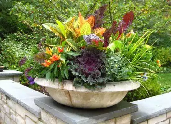 Play New Planting Ideas