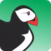 Free play online New Puffin Browser Guide 2017 APK Free play online New Puffin Browser Guide 2017 APK