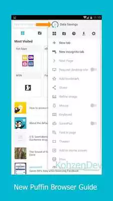 Play New Puffin Browser Guide 2017