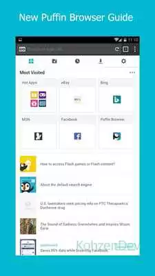Play New Puffin Browser Guide 2017