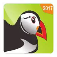 Free play online New Puffin Web Browser Advice  APK