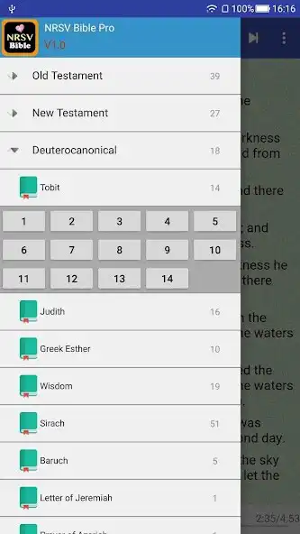 Play New Revised Standard Version Bible NRSV Audio Pro as an online game New Revised Standard Version Bible NRSV Audio Pro with UptoPlay