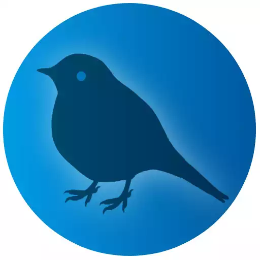 Free play online News Chat APK Free play online News Chat APK