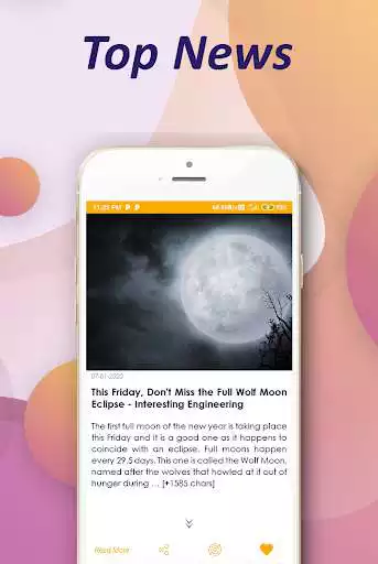 Play News Forest as an online game News Forest with UptoPlay