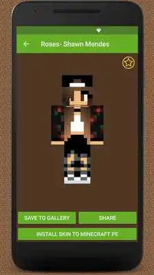 Play New Skins for Minecraft PE