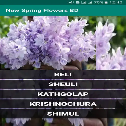 Play New Spring Flowers BD APK Play New Spring Flowers BD APK