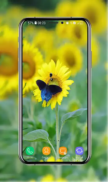 Play New Sunflower Wallpaper as an online game New Sunflower Wallpaper with UptoPlay