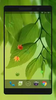 Play New Top Ringtones  Wallpaper