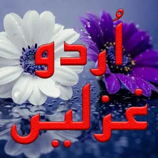 Play New Urdu Poetry Offline APK Play New Urdu Poetry Offline APK