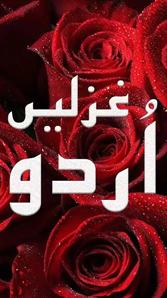Play New Urdu Poetry Offline as an online game New Urdu Poetry Offline with UptoPlay