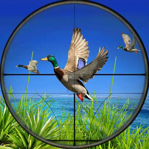 Free play online New Wild Duck Hunting 3D 2018 APK