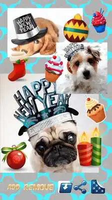 Play New Year 2019 Greeting Cards