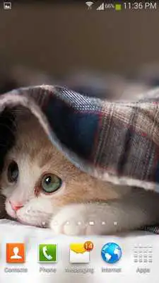 Play New Year SMS, Wallpaper 2017 Play New Year SMS, Wallpaper 2017