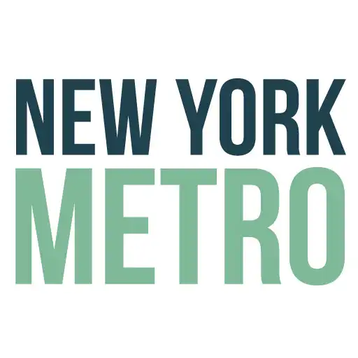 Play New York Subway Map Offline APK