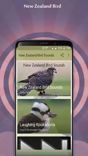 Play New Zealand Bird Sounds  and enjoy New Zealand Bird Sounds with UptoPlay
