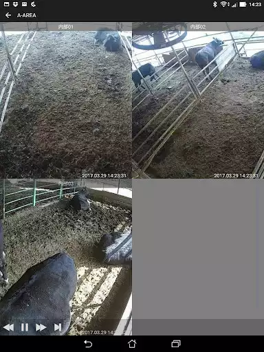 Play nexViewer3 as an online game nexViewer3 with UptoPlay