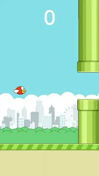 Play NF Bird  and enjoy NF Bird with UptoPlay