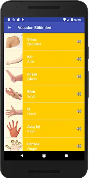 Play İngilizce Telaffuzlu Terimler as an online game İngilizce Telaffuzlu Terimler with UptoPlay