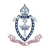 Free play online NGS APK