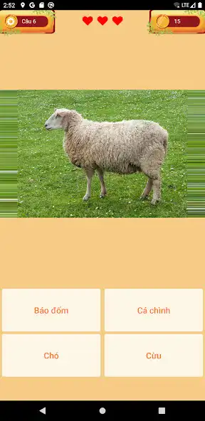 Play Động vật - Nhìn hình đoán tên  and enjoy Động vật - Nhìn hình đoán tên with UptoPlay