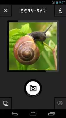 Play NHK Mimicry Camera