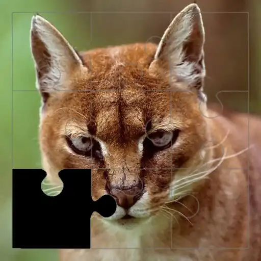 Play Nice Animals Puzzles APK Play Nice Animals Puzzles APK