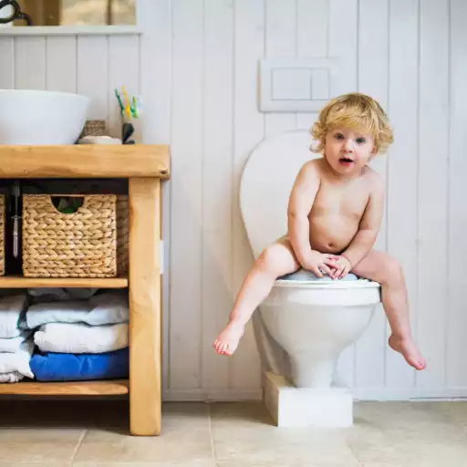 Play Nice & Clean Toilet Design Idea APK