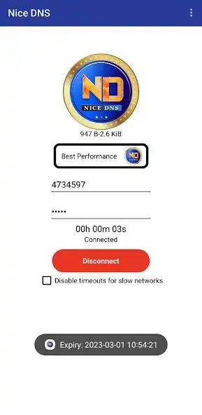 Play NICE DNS as an online game NICE DNS with UptoPlay