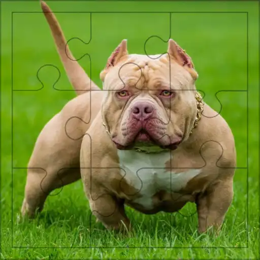 Play Nice Dogs Puzzles APK Play Nice Dogs Puzzles APK