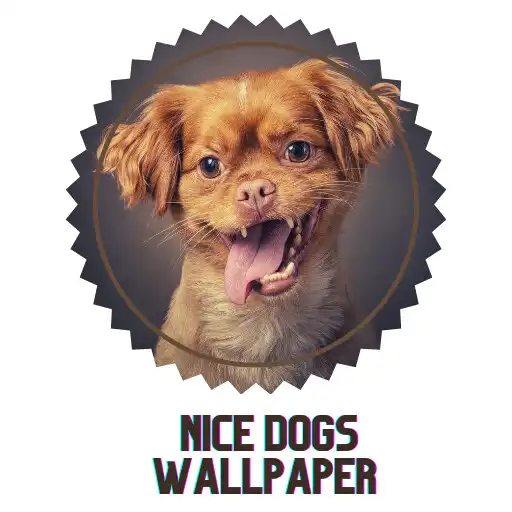 Play Nice dogs wallpaper APK Play Nice dogs wallpaper APK