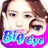 Free play online NiceEyes : Eye Color Changer APK