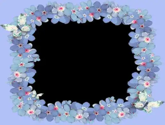 Play Nice Flowers Photo Frames