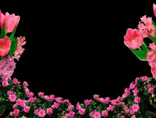 Play Nice Flowers Photo Frames