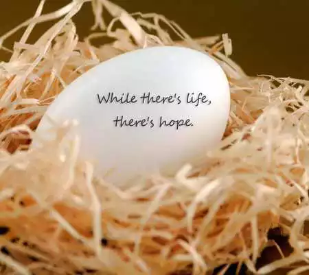Play Nice Quotes Set Wallpapers