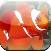 Free play online Nice Sea Fish 3D APK Free play online Nice Sea Fish 3D APK
