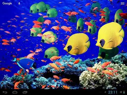 Play Nice Sea Fish 3D
