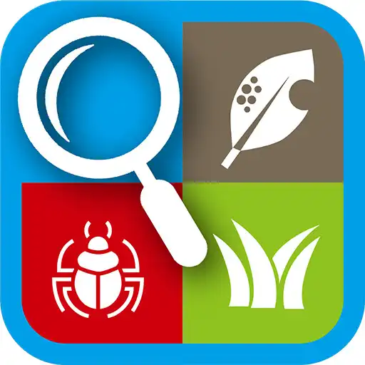 Play NICHINO AI DIAGNOSIS APK