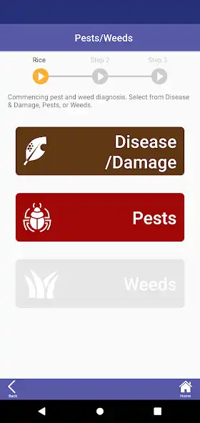 Play NICHINO AI DIAGNOSIS as an online game NICHINO AI DIAGNOSIS with UptoPlay