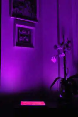 Play Night Ambient Lights