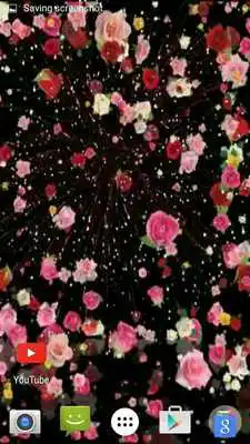 Play Night Fireworks Video Wallpape