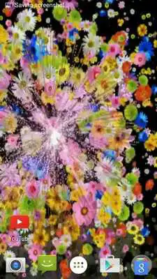 Play Night Fireworks Video Wallpape