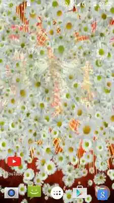 Play Night Fireworks Video Wallpape