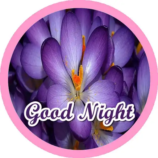 Play Night GOOD Morning Stickers APK Play Night GOOD Morning Stickers APK