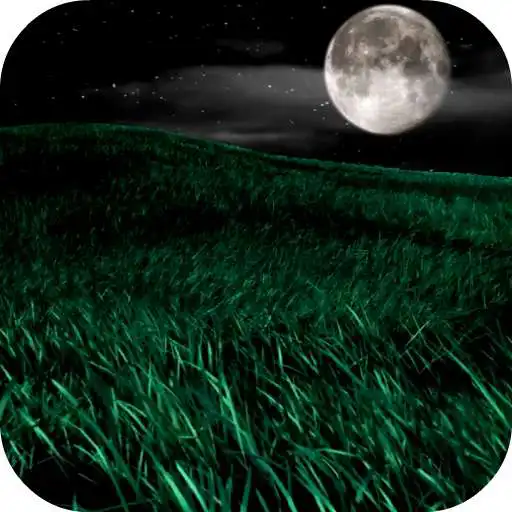 Free play online Night HD Video Wallpaper APK Free play online Night HD Video Wallpaper APK
