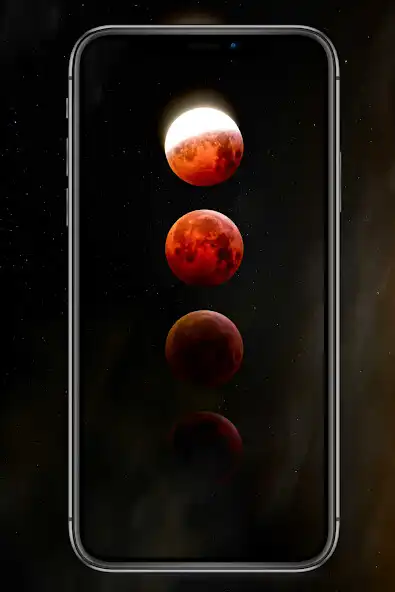 Play night moon wallpaper as an online game night moon wallpaper with UptoPlay