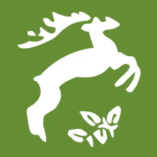 Play Nimród APK