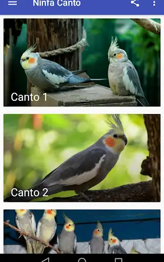 Play Ninfa Canto  and enjoy Ninfa Canto with UptoPlay
