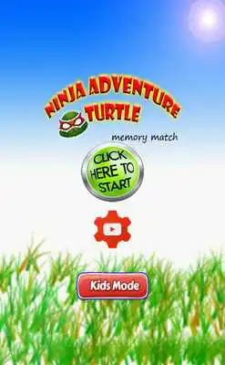 Play Ninja adventure Turtle