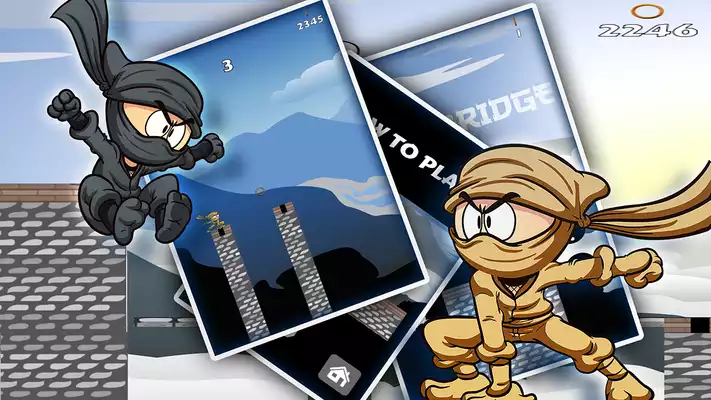 Play Ninja Bridge Hero