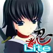 Free play online Ninja Chop Z Lite APK